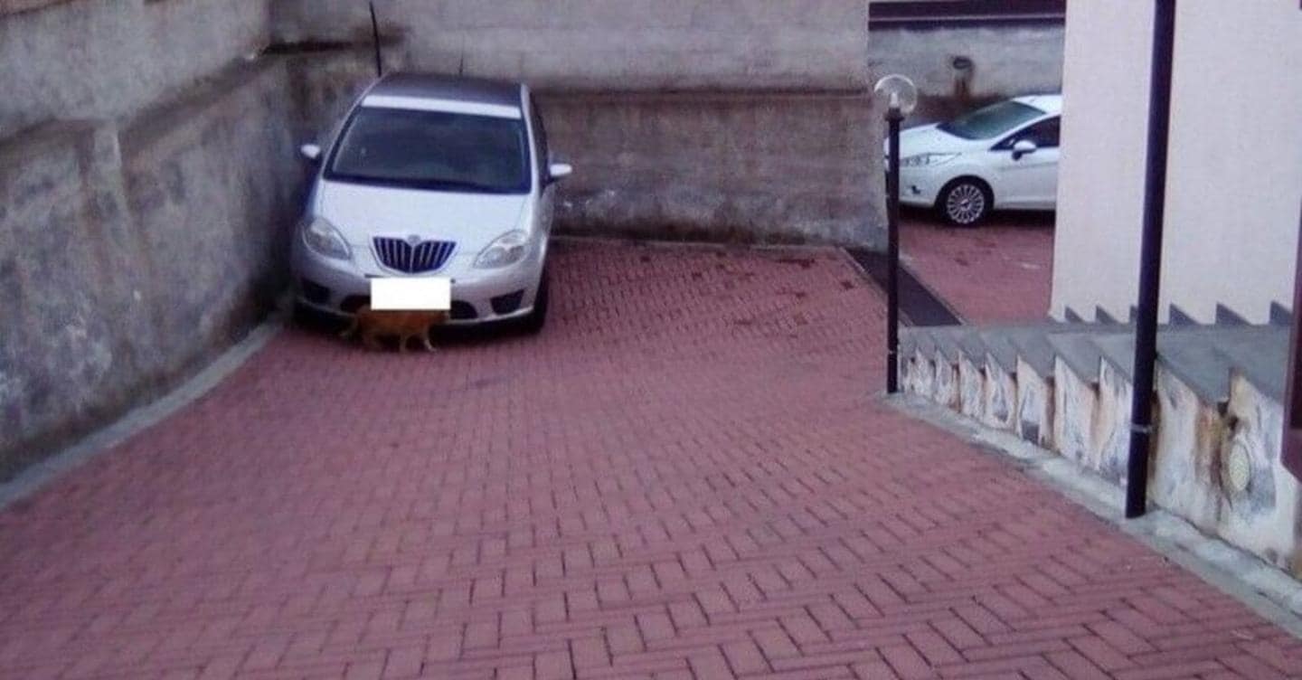 Condominio, nulla la delibera che decide di utilizzare a parcheggio la rampa di accesso ai boxes